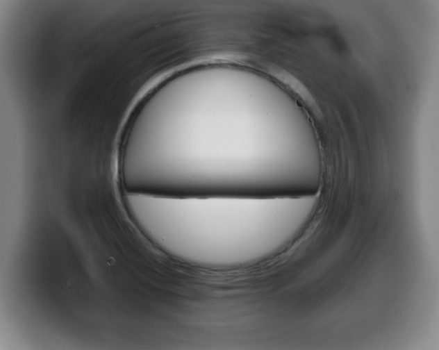X0000100311420200806051319