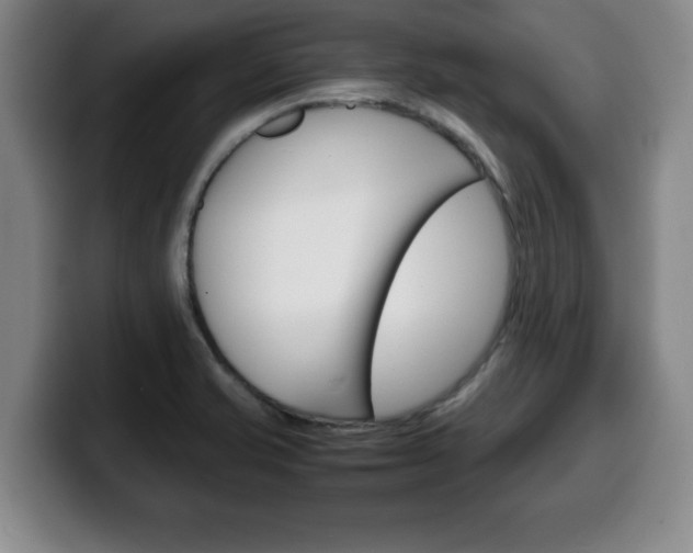X0000100311421200806051319
