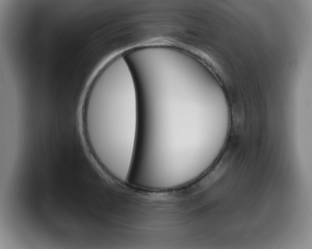 X0000100311422200806051319