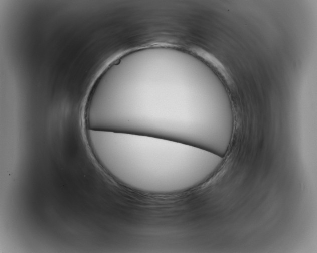 X0000100311423200806051319