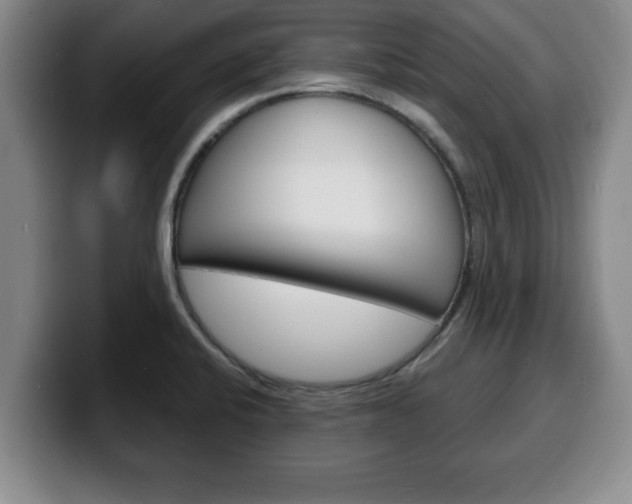 X0000100311424200806051319