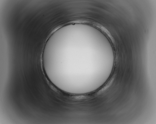 X0000100311425200806051319