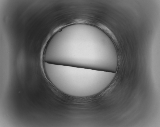 X0000100311427200806051319