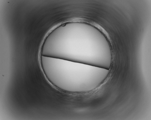 X0000100311429200806051319
