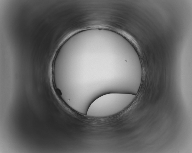 X0000100311431200806051319