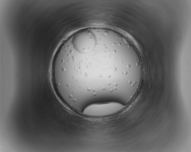 X0000100311432200806051319