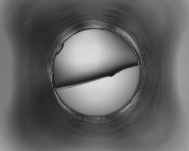 X0000100311433200806051319