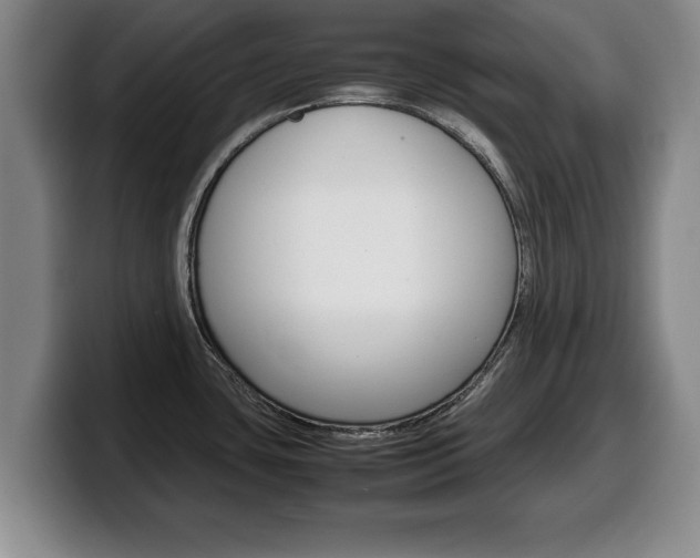 X0000100311435200806051319
