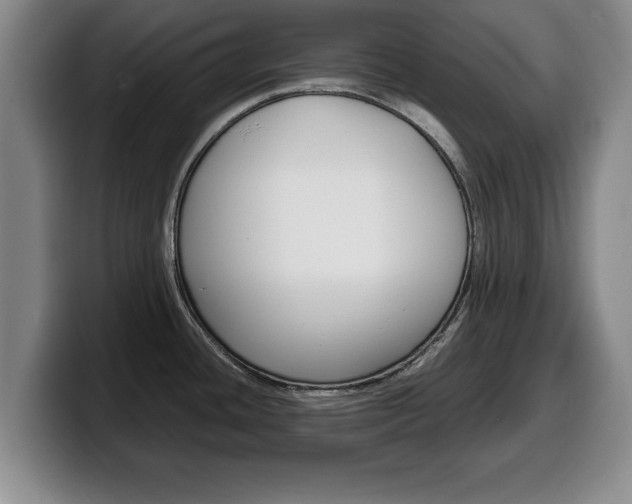 X0000100311436200806051319