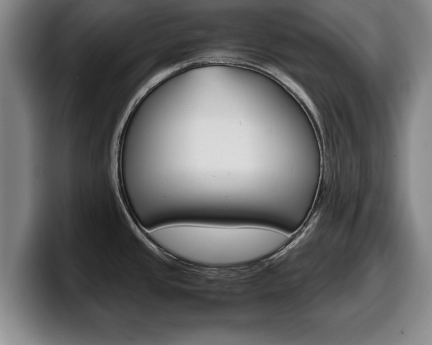 X0000100311437200806051319