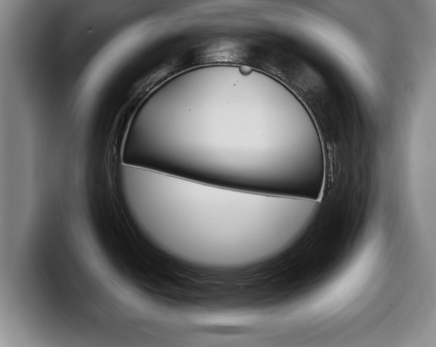 X0000100311438200806051319