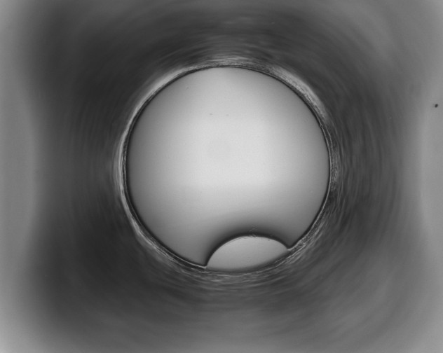 X0000100311439200806051319