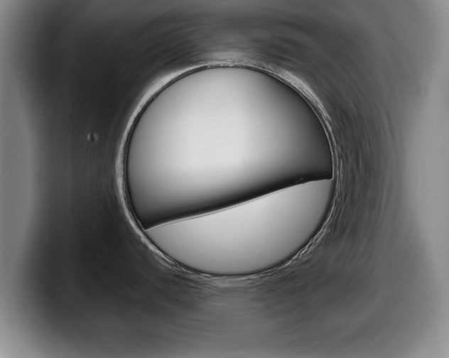 X0000100311440200806051319