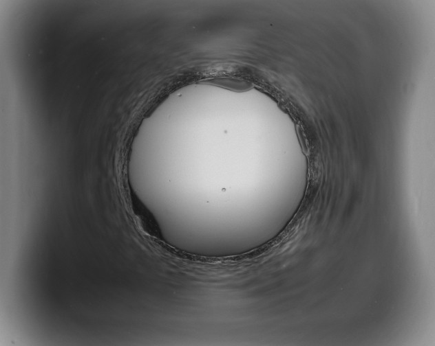 X0000100311441200806051318