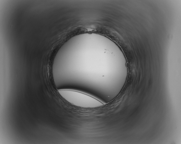 X0000100311442200806051318