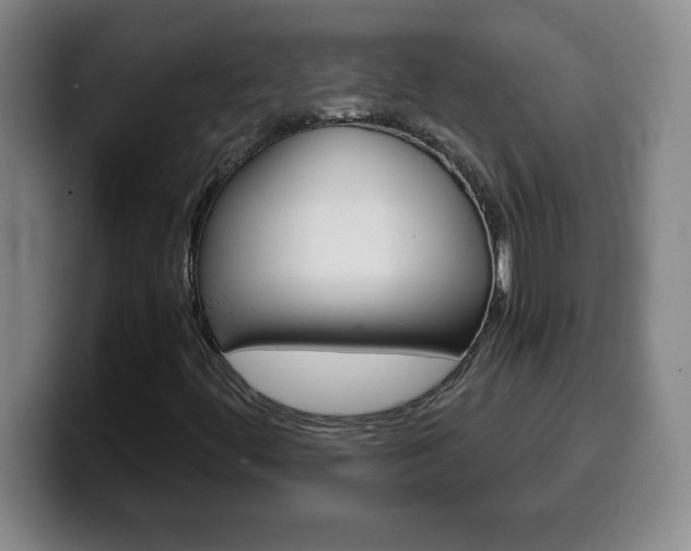 X0000100311444200806051318