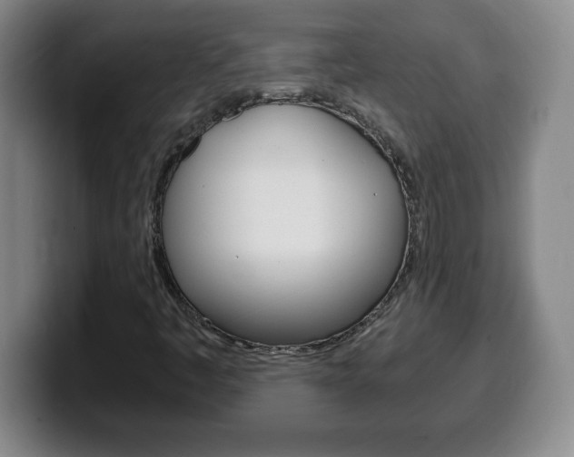 X0000100311445200806051318
