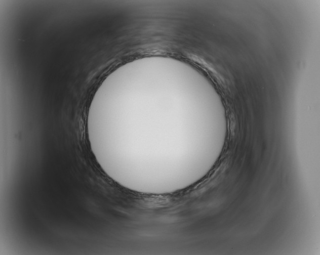 X0000100311446200806051318