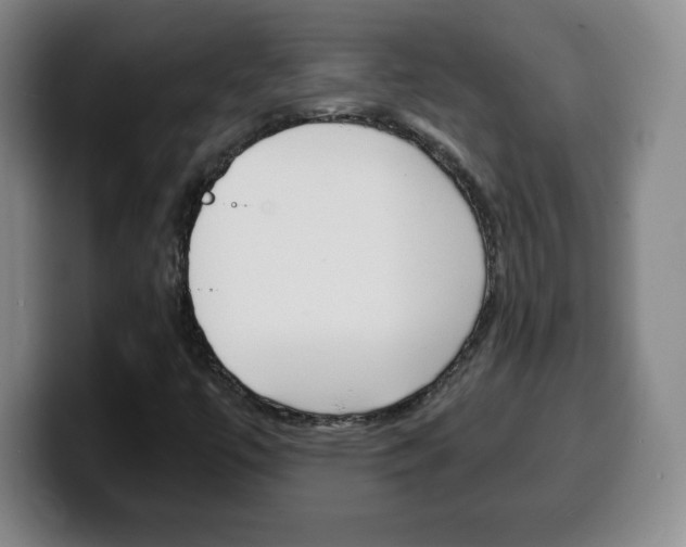 X0000100311447200806051318