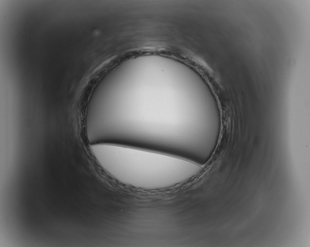 X0000100311448200806051318