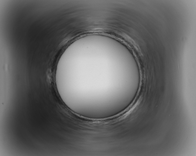 X0000100311449200806051318