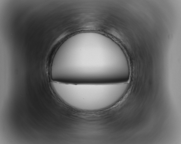 X0000100311450200806051318