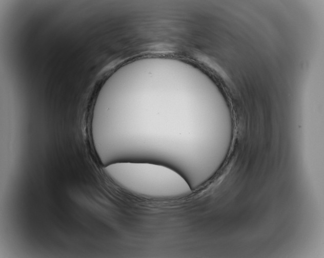 X0000100311451200806051318