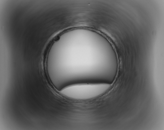 X0000100311452200806051318