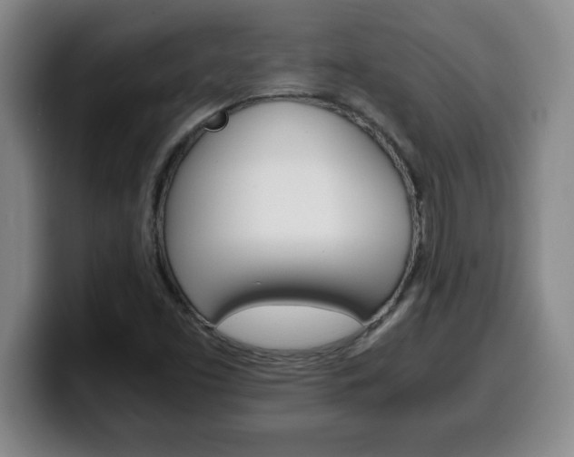 X0000100311453200806051318