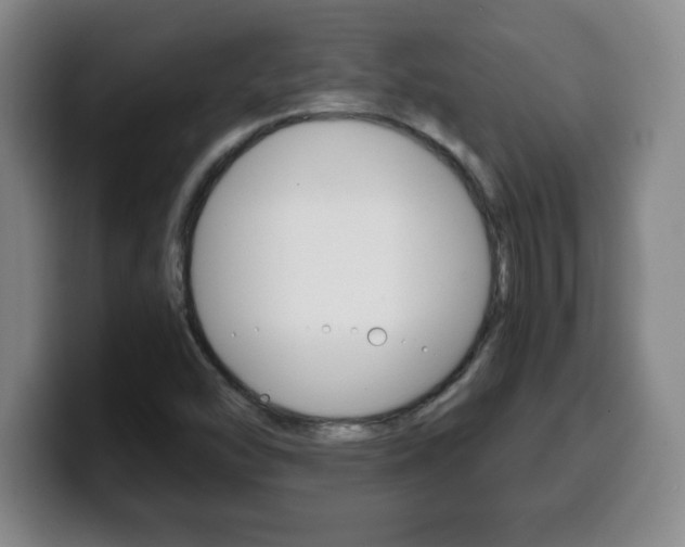 X0000100311454200806051318