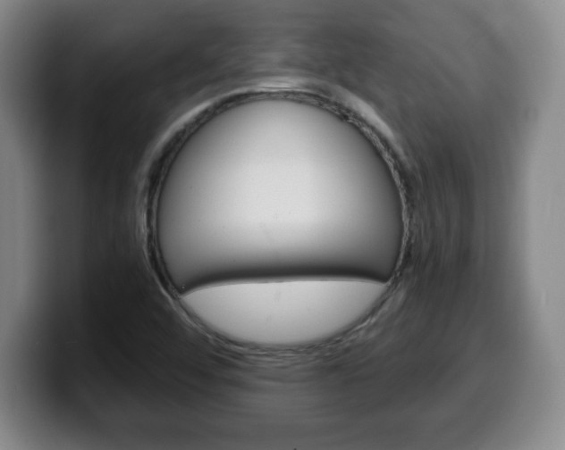 X0000100311456200806051318