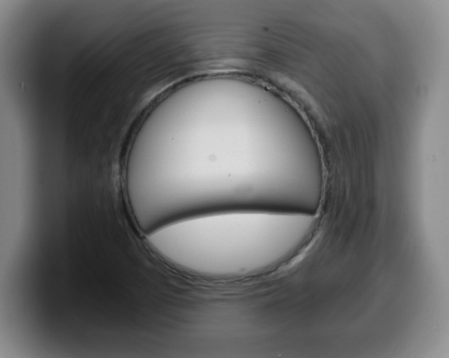 X0000100311457200806051318