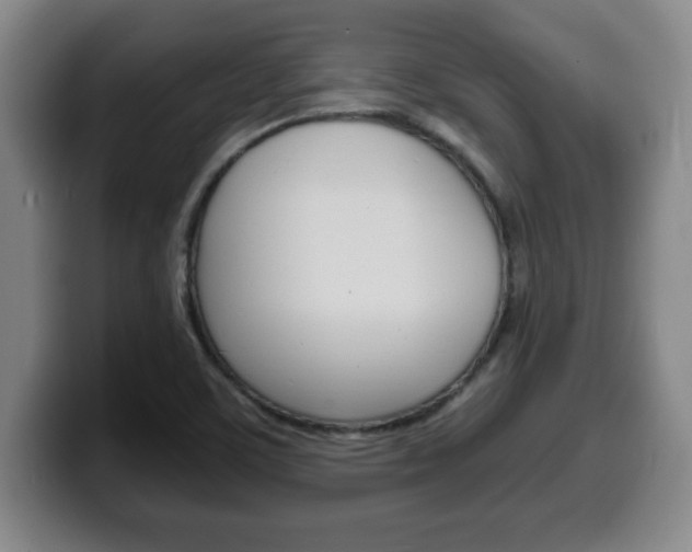 X0000100311459200806051318