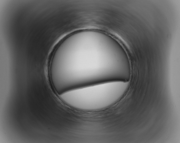 X0000100311460200806051318