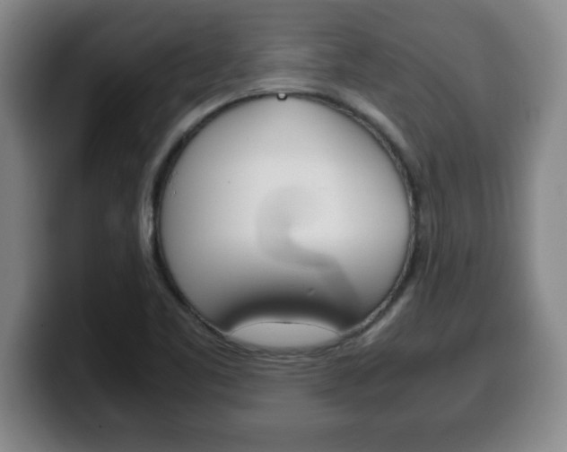 X0000100311461200806051318