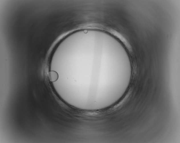 X0000100311462200806051318