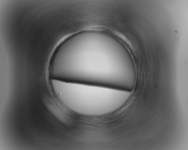 X0000100311463200806051318