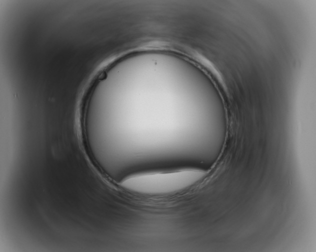 X0000100311464200806051318