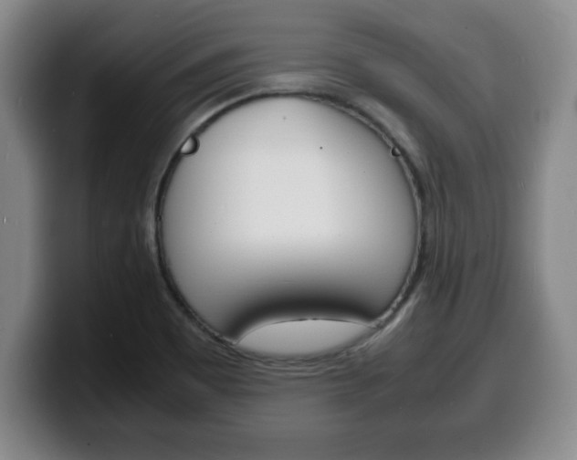 X0000100311465200806051318