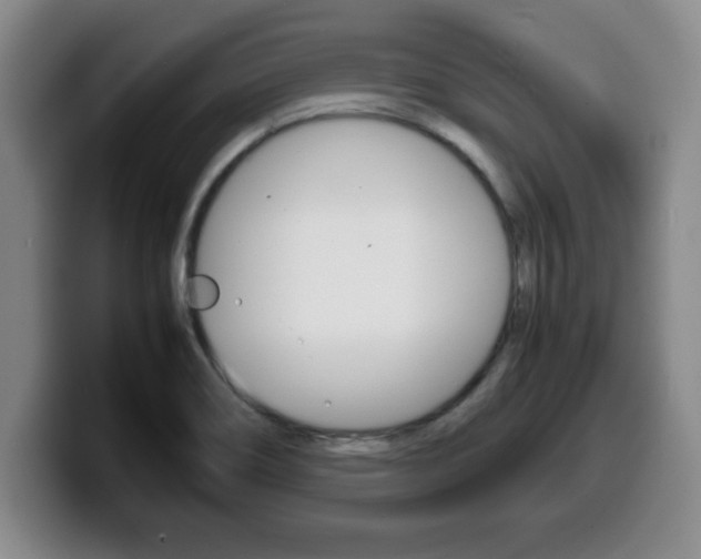 X0000100311466200806051318