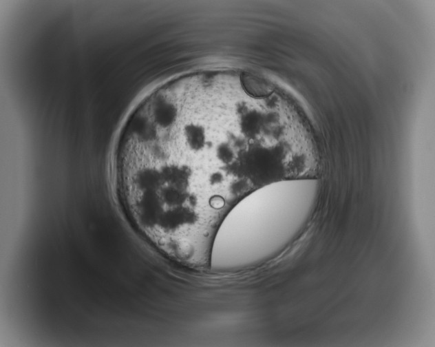 X0000100311467200806051318