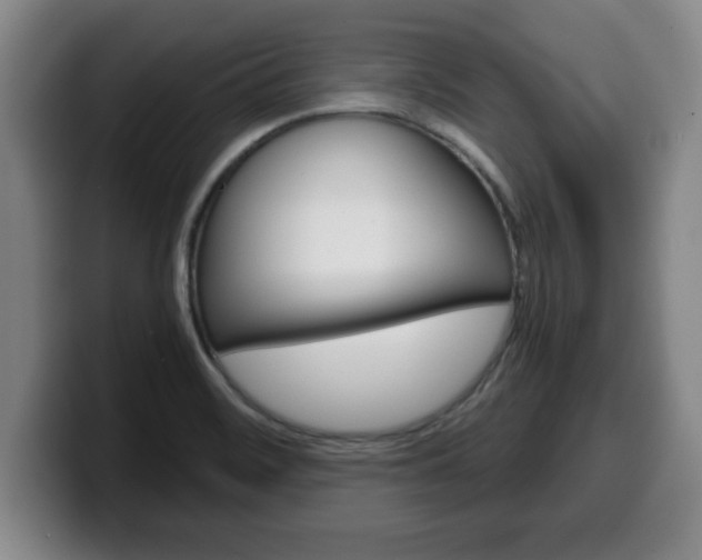 X0000100311468200806051318