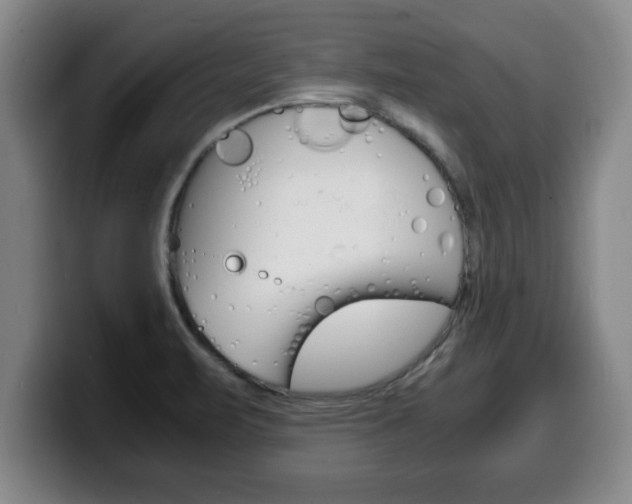 X0000100311471200806051318