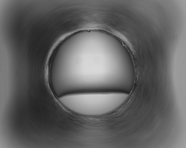X0000100311472200806051318
