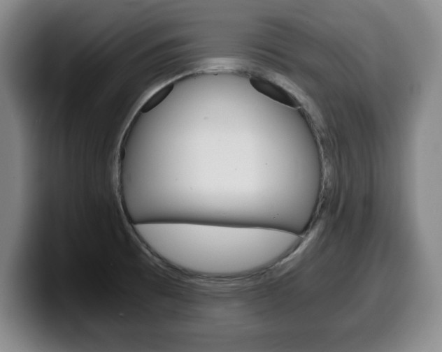 X0000100311473200806051318