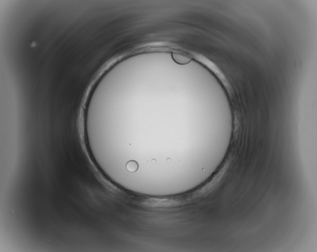 X0000100311474200806051318