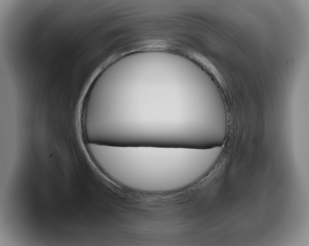 X0000100311475200806051318