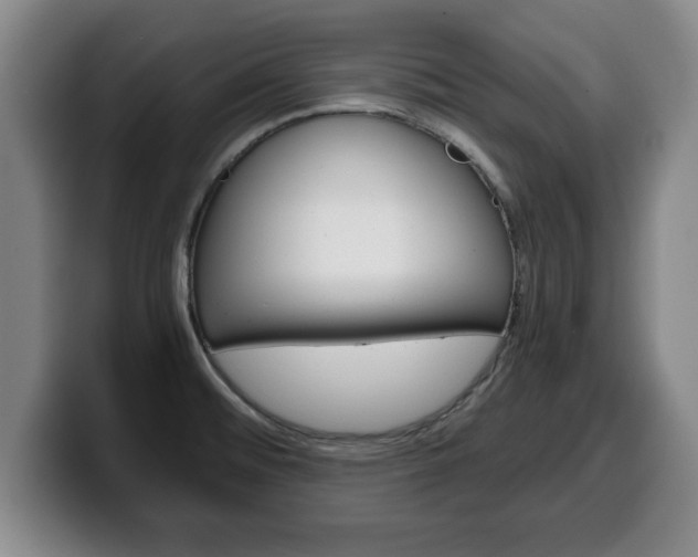 X0000100311476200806051318