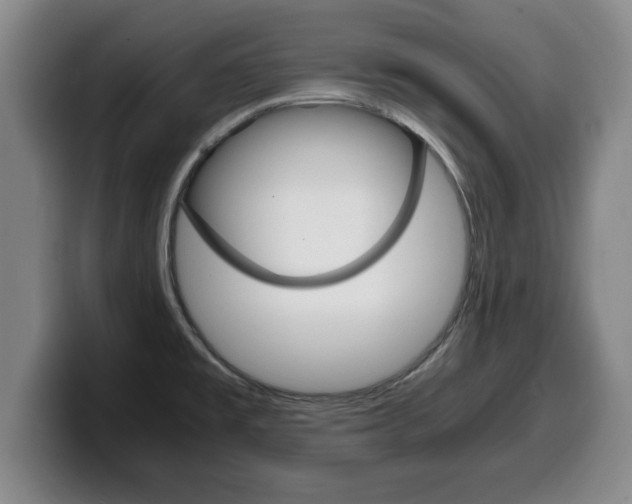 X0000100311477200806051318