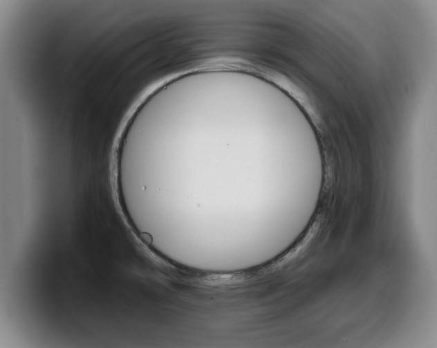 X0000100311478200806051318